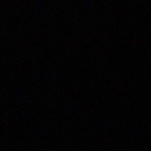 Meet your Posher, Dashawn